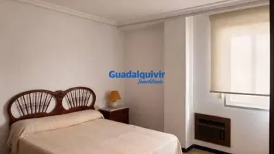 Apartment in Seville City Centre photo 4