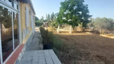 House in L'Altet-Els Bassars photo 8