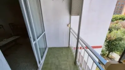 Apartment in Pino Montano photo 13