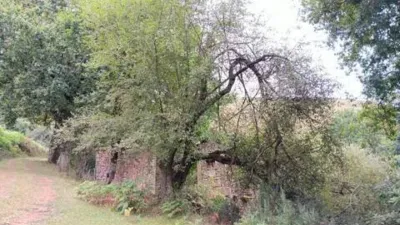 Rustic house on Calle Las Porquerizas S-N photo 13