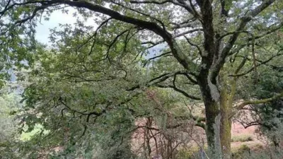 Rustic house on Calle Las Porquerizas S-N photo 22
