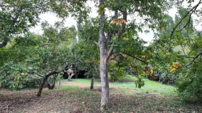 House in Narón photo 3