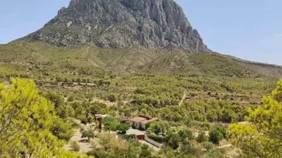 Chalet on Calle Partida El Realet, 59 photo 7