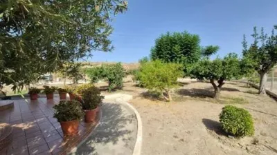 Chalet en calle Lugar Las Cupillas, 4 photo 22