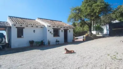 Rustic house at Plaza de A.Galiano, 3 photo 55