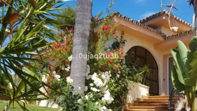 Chalet on Avenida de las Palmeras photo 12