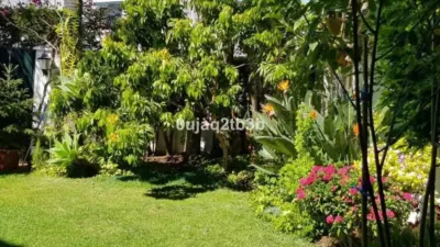 Chalet on Avenida de las Palmeras photo 23