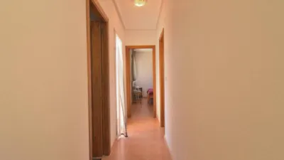 Villa in Algorfa photo 20