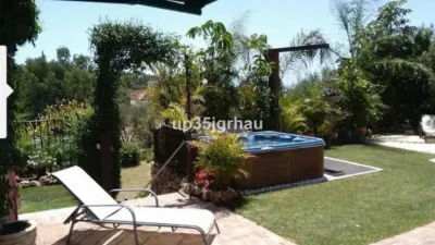 Apartment on Calle Parque Central, 5 photo 13