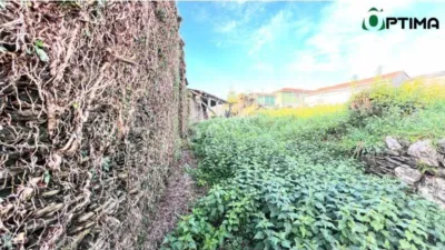 Rustic House in Arzúa photo 8