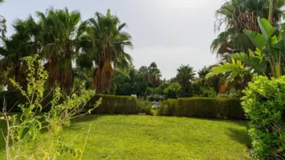 Apartment in Casares photo 15