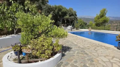 Chalet in Monda photo 32