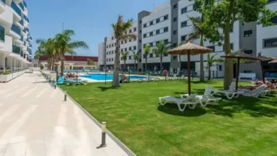 Apartment in Campo de Mijas photo 24