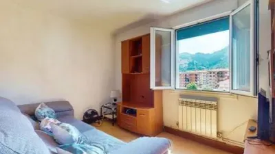 Apartment in Güeñes photo 7