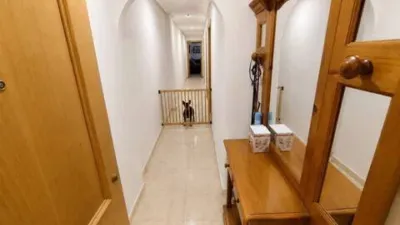 Apartment in L'Altet-Els Bassars photo 15