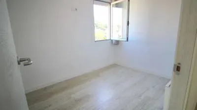 Apartment in Canyelles-La Montgoda photo 12