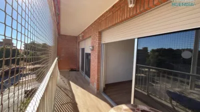 Apartment in El Alamillo photo 8