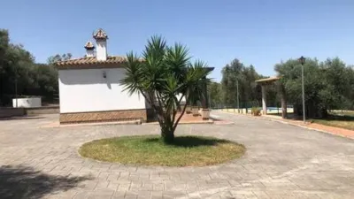 Chalet in Vejer de la Frontera photo 4