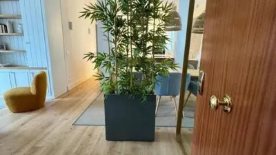 Apartment in Abando Ensanche photo 10