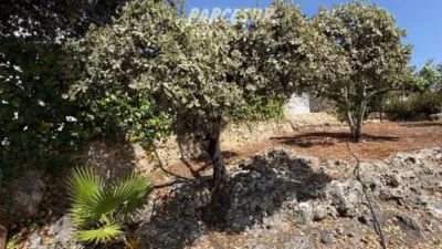 Rustic house in Cortijo de La Torre photo 5