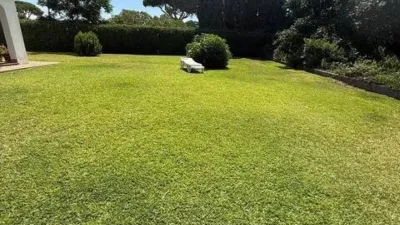 Rustic house in La Muela photo 35