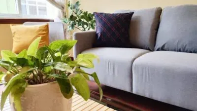 Apartment in Ultramar photo 3