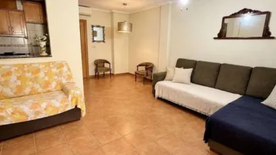Pis – Elx - Elche - Vista 5
