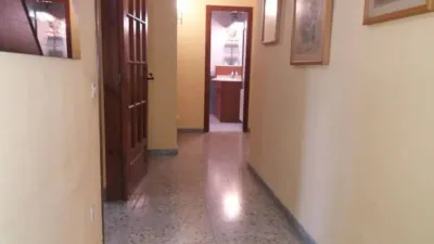 Apartment in La Bisbal d'Empordà photo 15