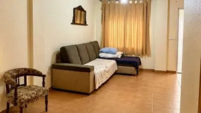 Pis – Elx - Elche - Vista 4