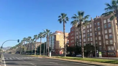 Apartment in Espinardo photo 17