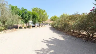 Rustic house in Totana photo 54