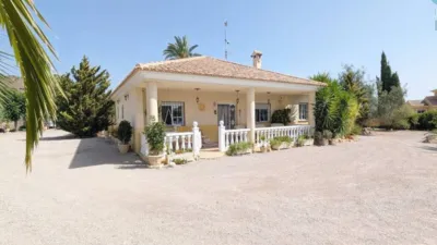 Rustic house in Totana photo 63