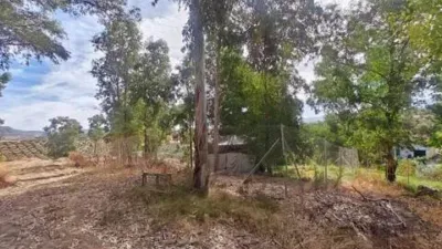 Rustic house on Carretera de los Carril, La Loma, 1895441 photo 12