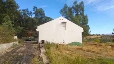 Rustic house on Carretera de los Carril, La Loma 165 photo 10