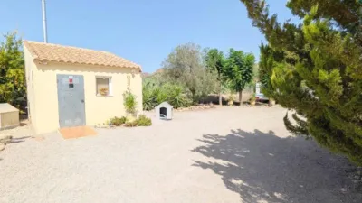 Rustic house in Totana photo 52