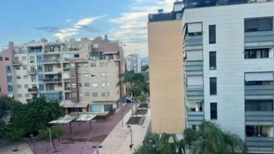 Apartment in Espinardo photo 12