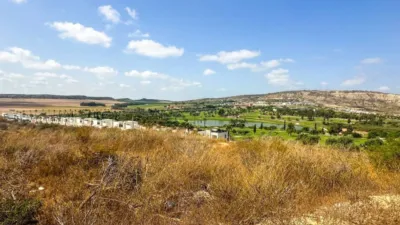Chalet en Algorfa photo 50