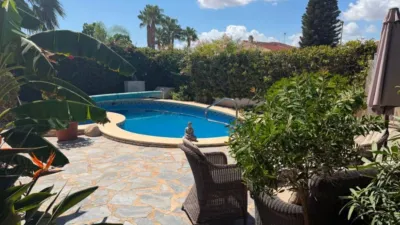 Chalet in Formentera del Segura photo 4
