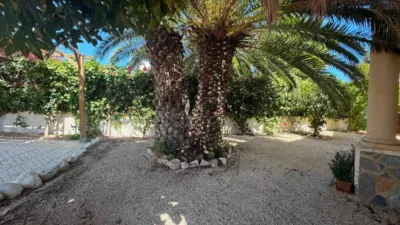 Chalet in Formentera del Segura photo 11