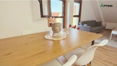 Apartment in Ribeira photo 4