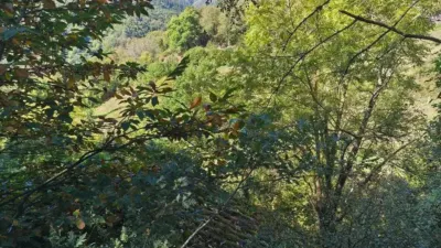 Rustic property on Calle Lugar Vallin, 29A photo 19