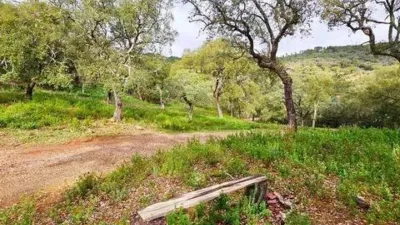 Rustic house in Santa Ana La Real photo 62