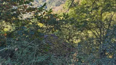 Rustic property on Calle Lugar Vallin, 29A photo 34