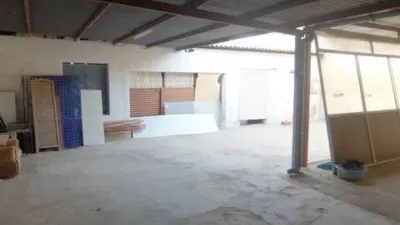 House in Formentera del Segura photo 5