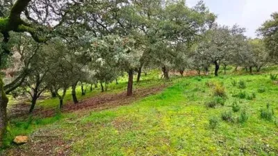 Rustic house in Santa Ana La Real photo 56