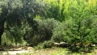 Rustic house in Santa Ana La Real photo 60