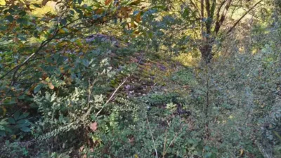 Rustic property on Calle Lugar Vallin, 29A photo 18