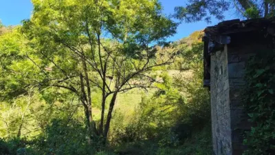 Rustic property on Calle Lugar Vallin, 29A photo 6