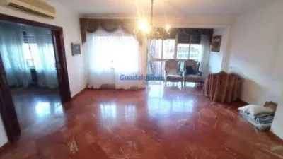 Apartment in Museo photo 4