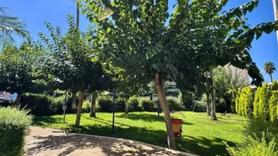 Apartment in L'Alfàs del Pi photo 36